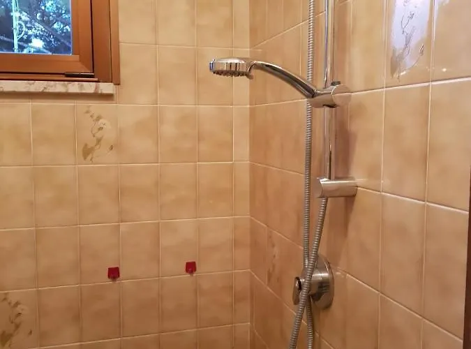 호텔 Esedra 리치오네